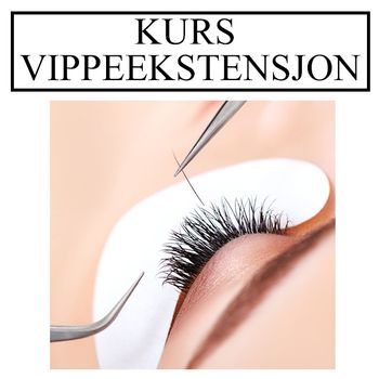 Hovedbilde KURS VIPPER